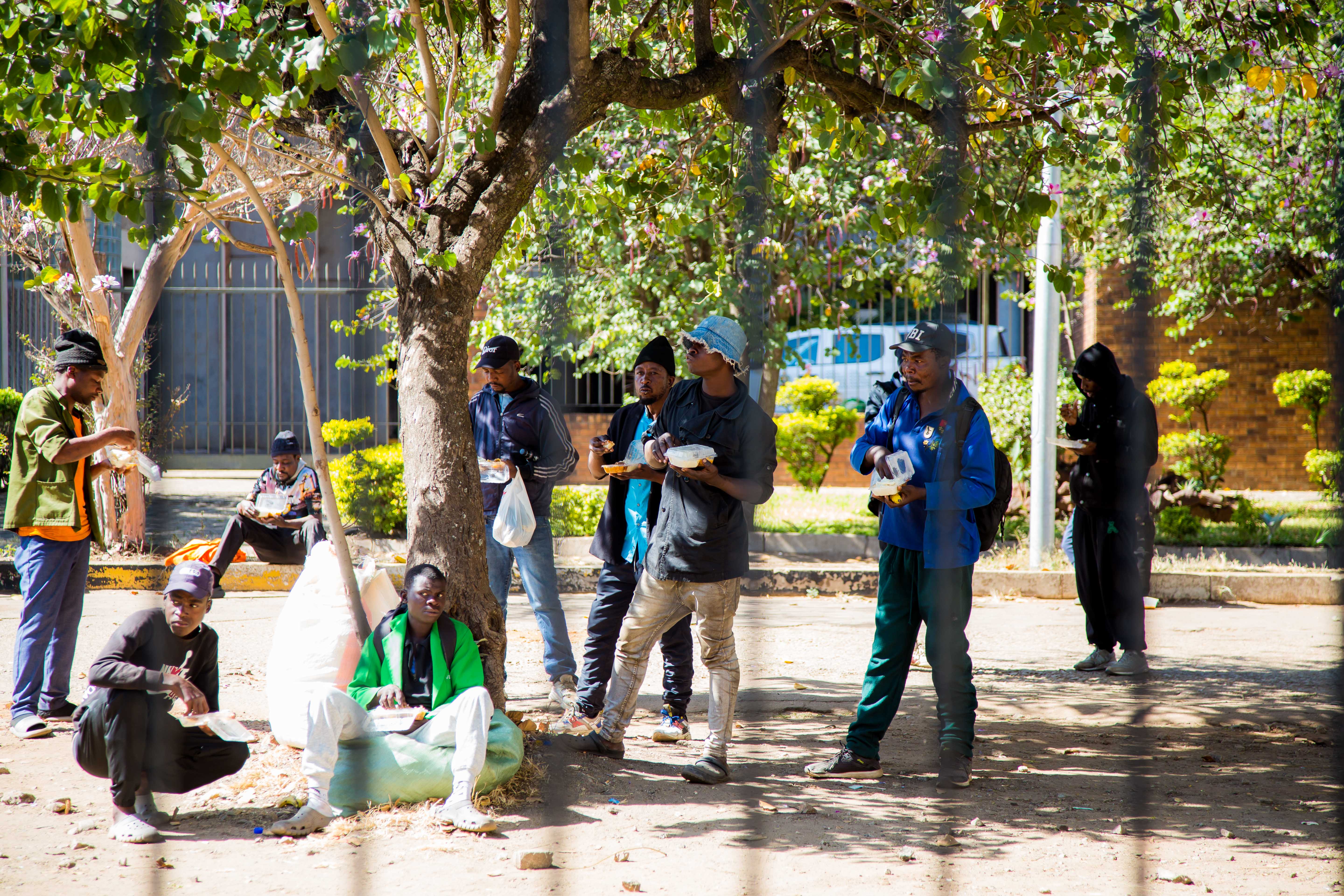An image for a fake blog post titled Street Feeding Initiatives